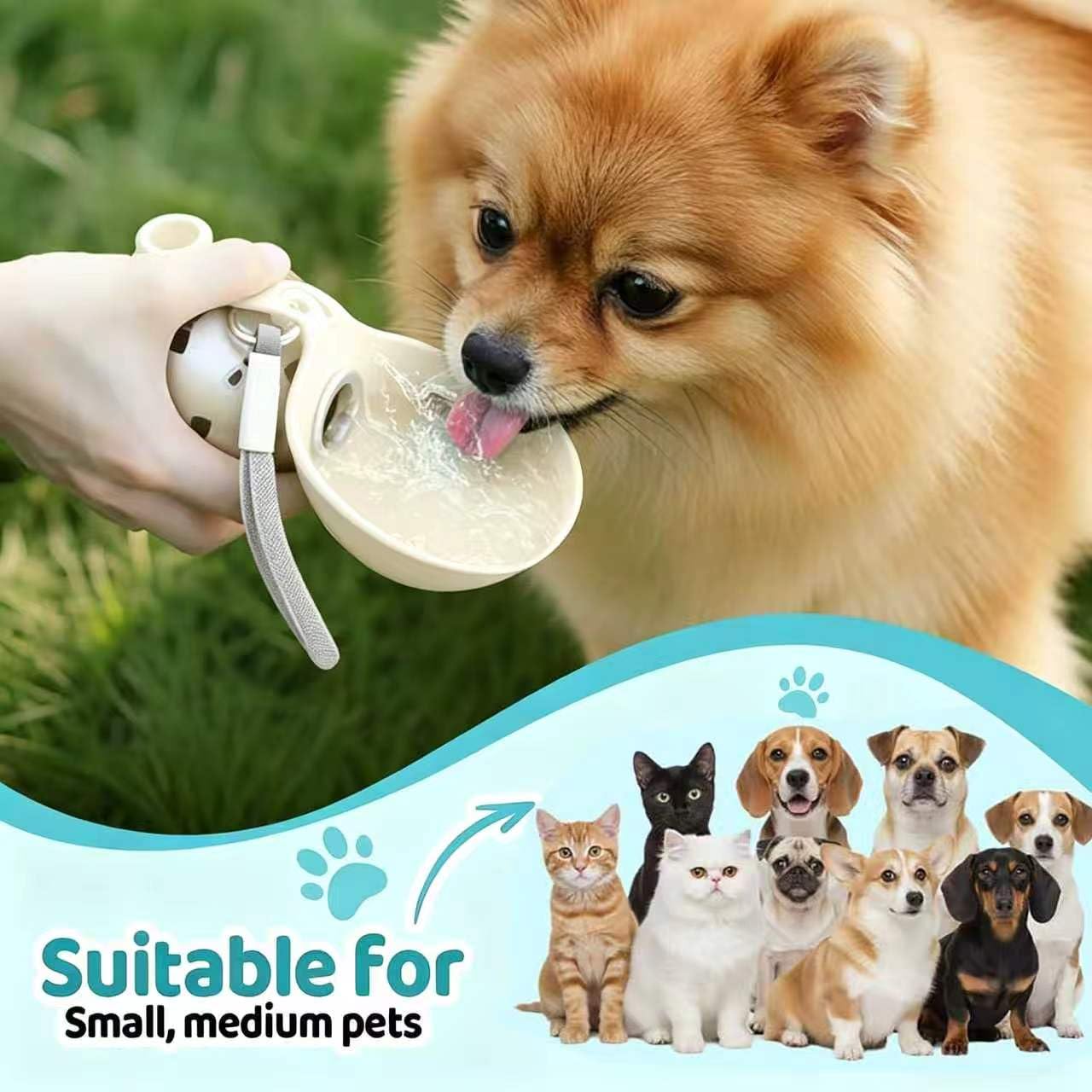 Gourde Chien Portable, 285 ML Gourde pour Chien, Gourde Chien Promenade Acier Inoxydable 304, Gamelle pour Chien Conception Pliable en Silicone Et éTanche,pour Animal Promenades Et Voyages (C)