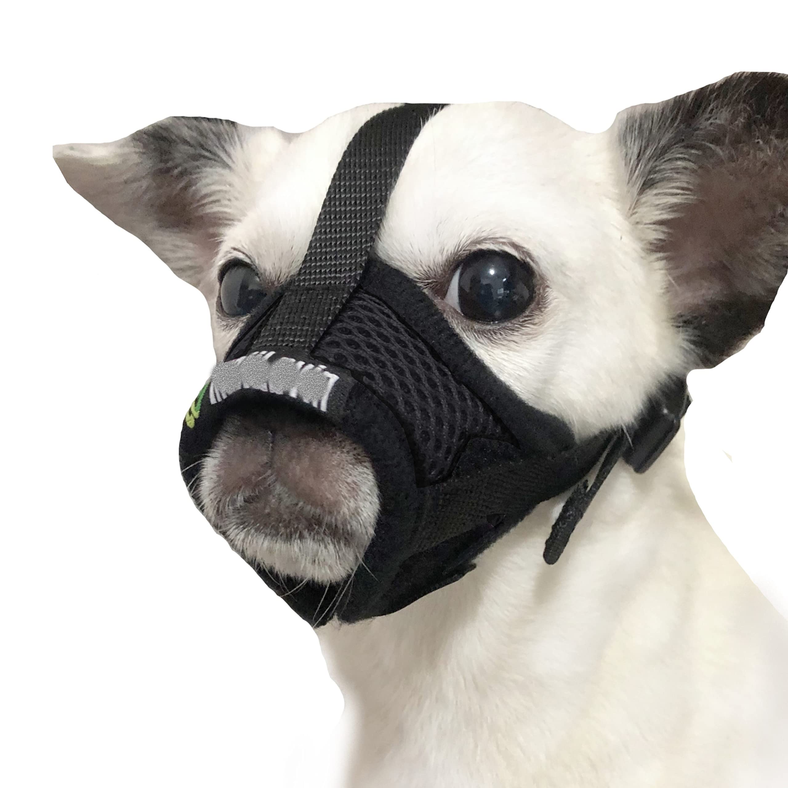 MoiiLavin Dog Muzzle for Small Dogs XS for Grooming Barking Chewing, Barkless Soft Mesh Muzzles to Prevent Eating Poops,Best for Aggressive Dogs(Comfy-Black)