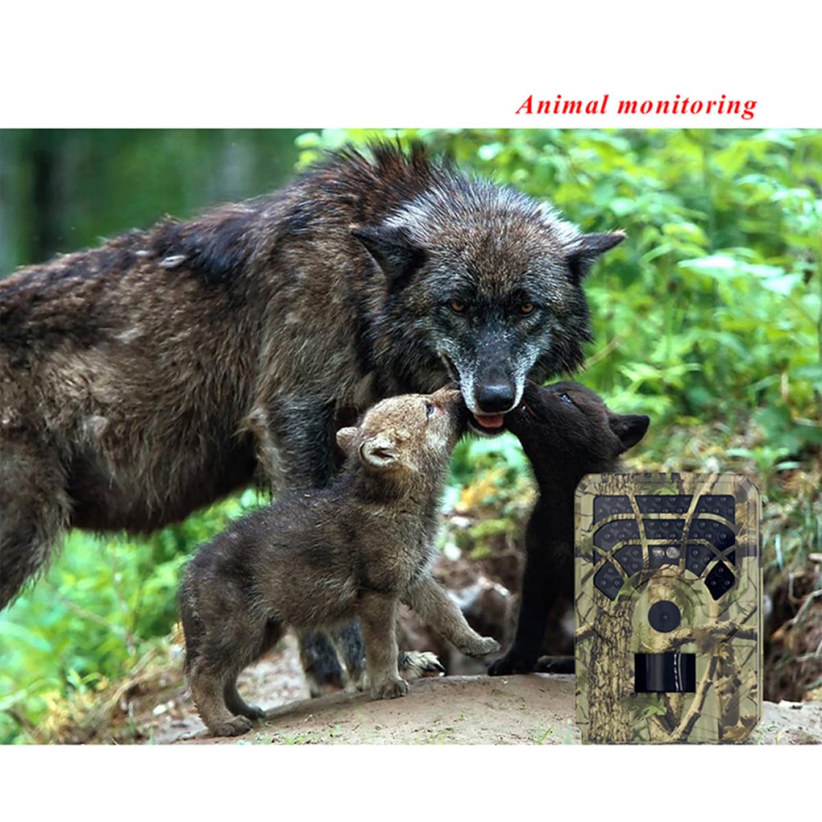 Caméra de Chasse Extérieure Haute Résolution 12 Mégapixels, Détection de Mouvement Infrarouge, 46 LED Noires 940 Nm, pour Surveillance et Chasse en Plein Air