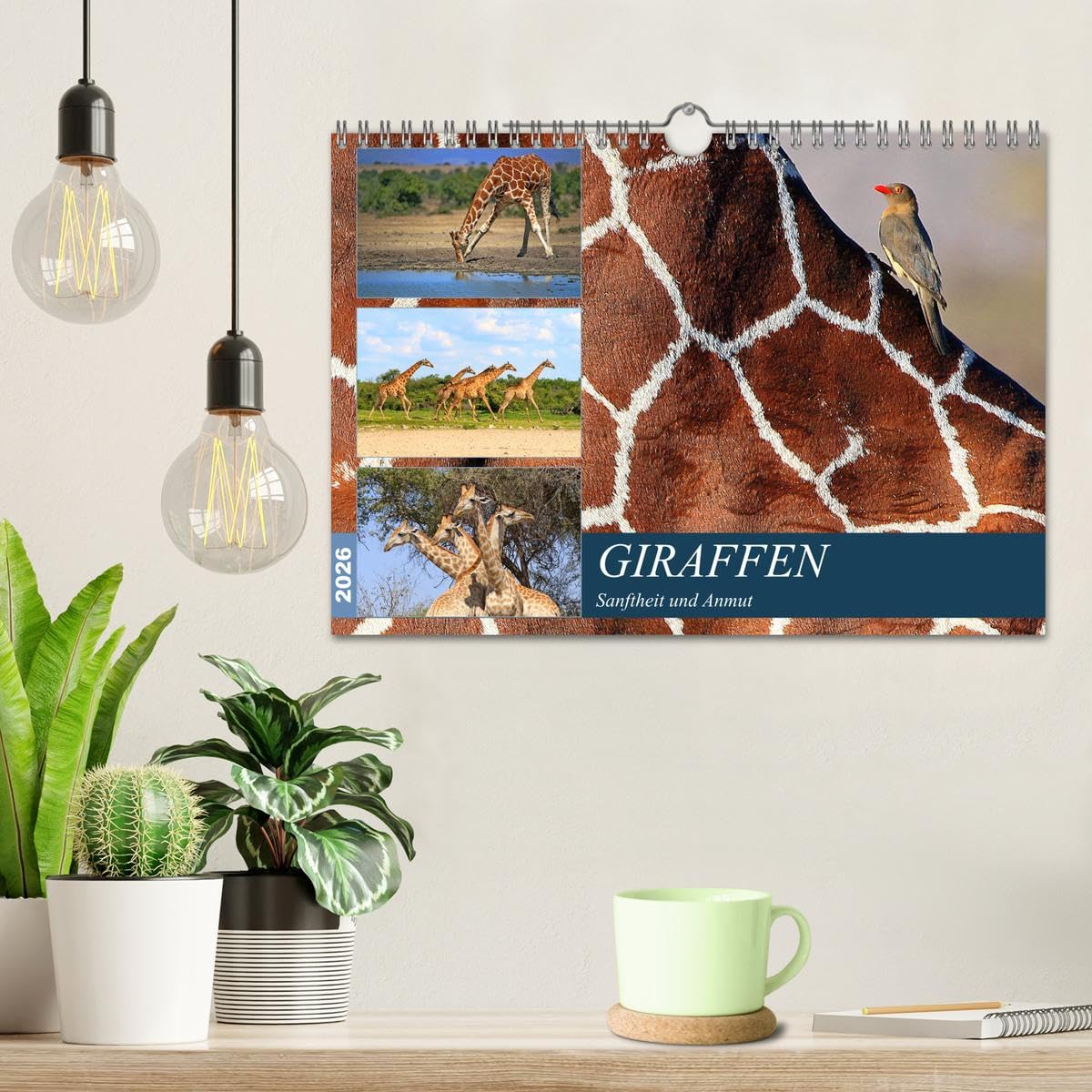 Giraffen - Sanftheit und Anmut (Wandkalender 2026 DIN A4 quer), CALVENDO Monatskalender: Giraffen-Begegnungen in Afrikas Savannen (CALVENDO Tiere)