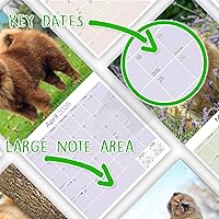 Vista 304 de Razas de Perros 2017