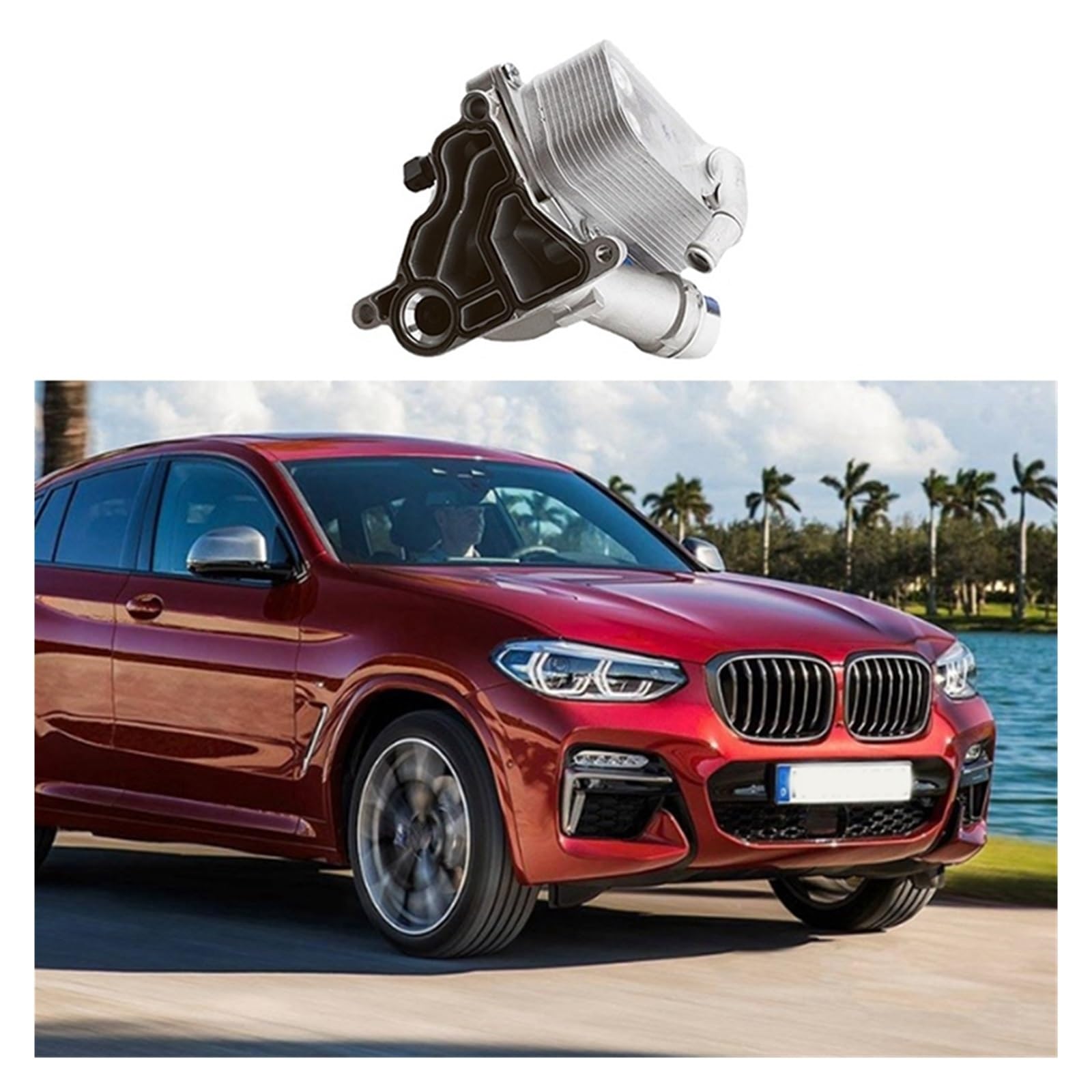 Piezas de Filtro de Aceite for Coche, componente Compatible con BMW 5 Series 2010-2016 X4 2014-2018 Z4 2009-2015, radiador de Aceite 11428637812