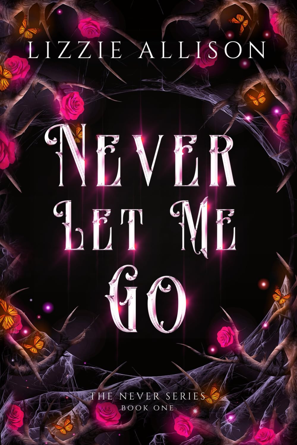 Never Let Me Go (The Never Series)