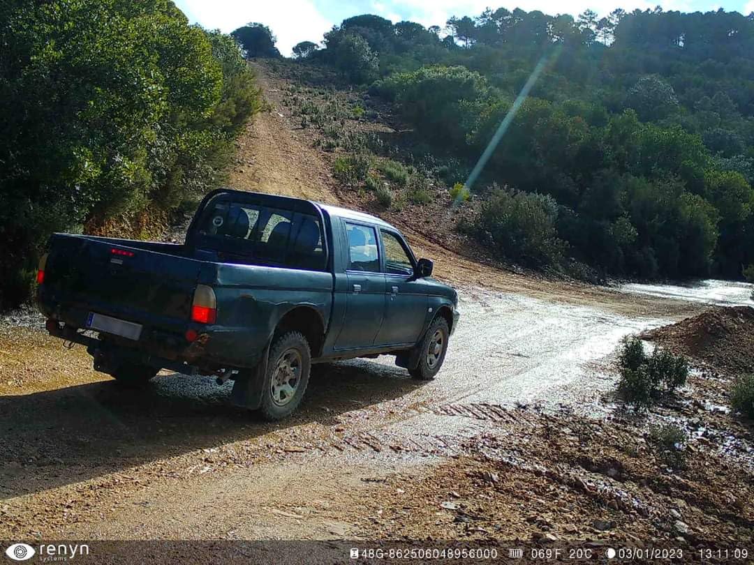 Renyn Cherokee, Cámara fototrampeo 4G con GPS antirrobo, aplicación de Control y Trifa de 1 año de Datos ilimitados incluída