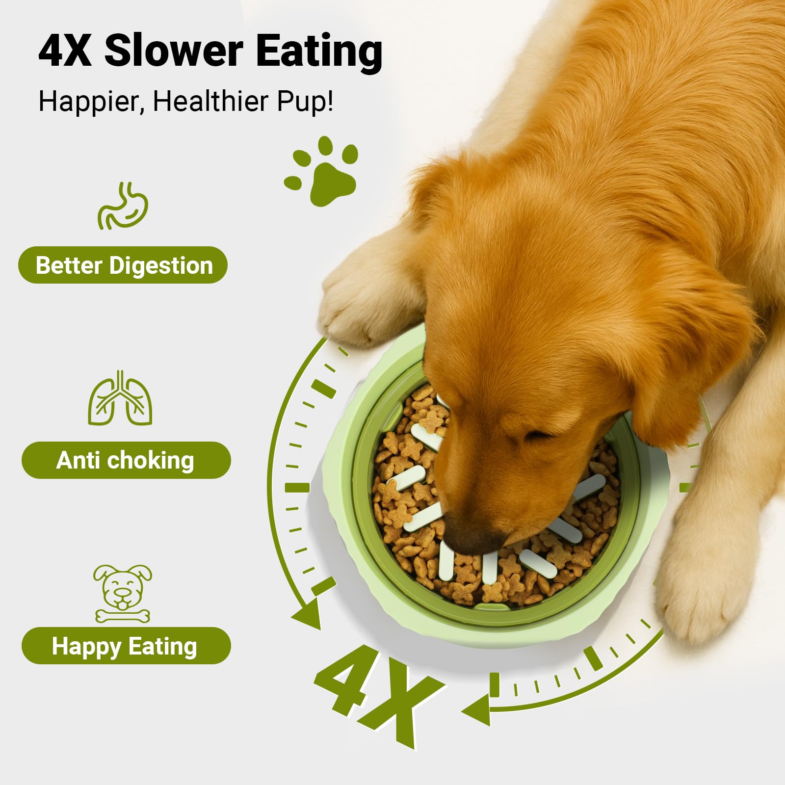 Zivacate 2-in-1 Slow Feeder Dog Bowl - Switch Between Standard & Slow Feed Modes, Green - Image 4