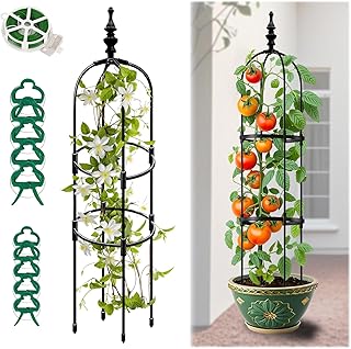 Trellis For Climbing Plants Outdoor 1Pcs 6Ft Garden Obelisk, Metal Pipe ...