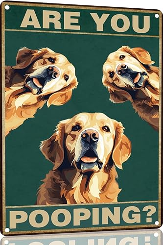 Vista 11 de Bichon Frise Dog - Cartel de 12 x 16 pulgadas con texto en inglés "Are You Pooping" para decoración de baño, póster de metal para perro amante