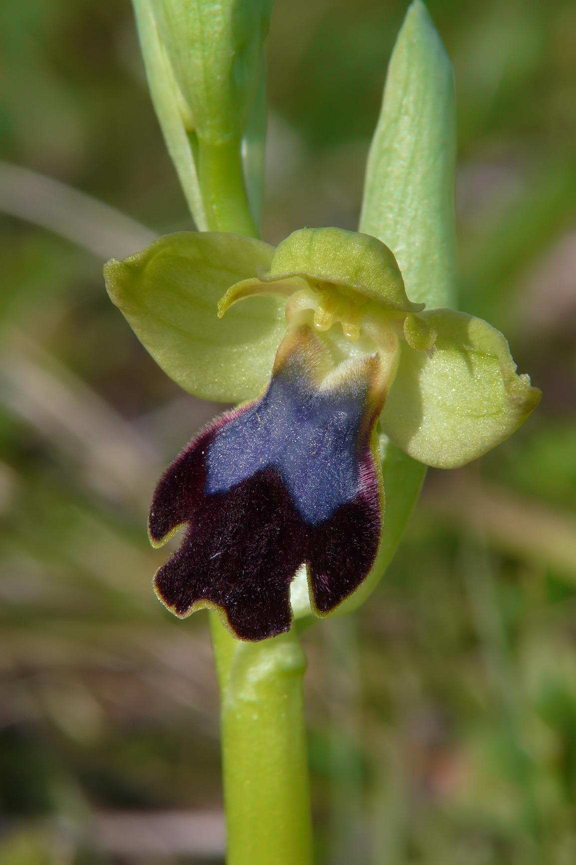 Immagine del cliente