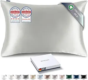 Premium Silk Pillowcase 100% Organic Mulberry Silk, 22 Momme, Grade 6A - Oeko-Tex Certified in Germany - Luxury for Hair & Skin, 1 Piece (Queen Size 20x30 Inches, Light Grey)