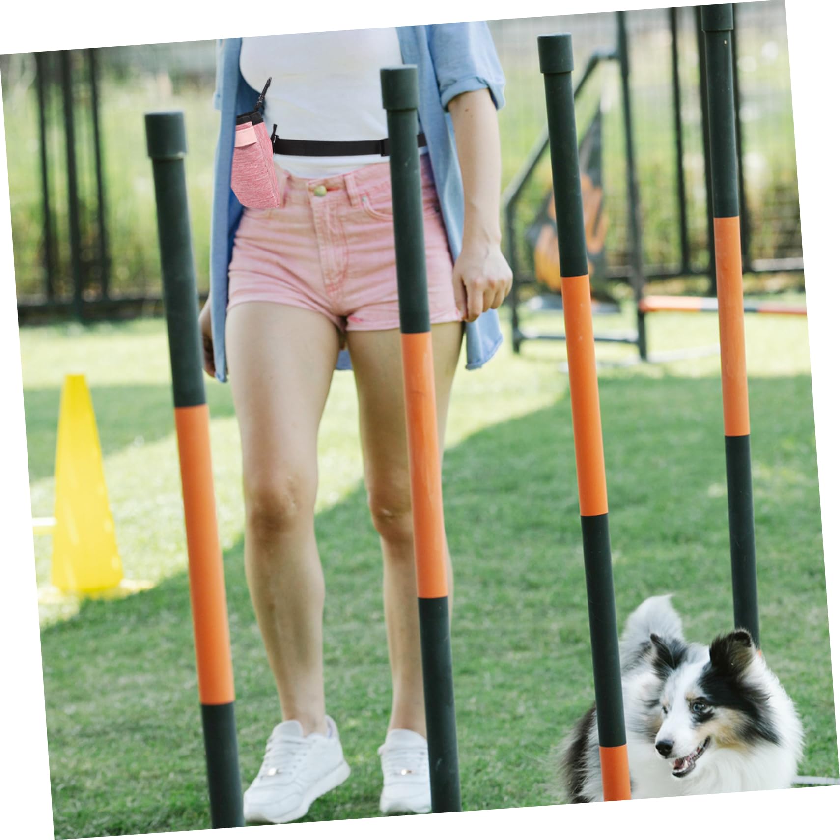 INOOMP 5piezas Bolsa De Entrenamiento para Perros Capacidad De Snacks Bolsa y Portátil para Paseos y Adiestramiento De Mascotas Accesorios para Dueños De Mascotas