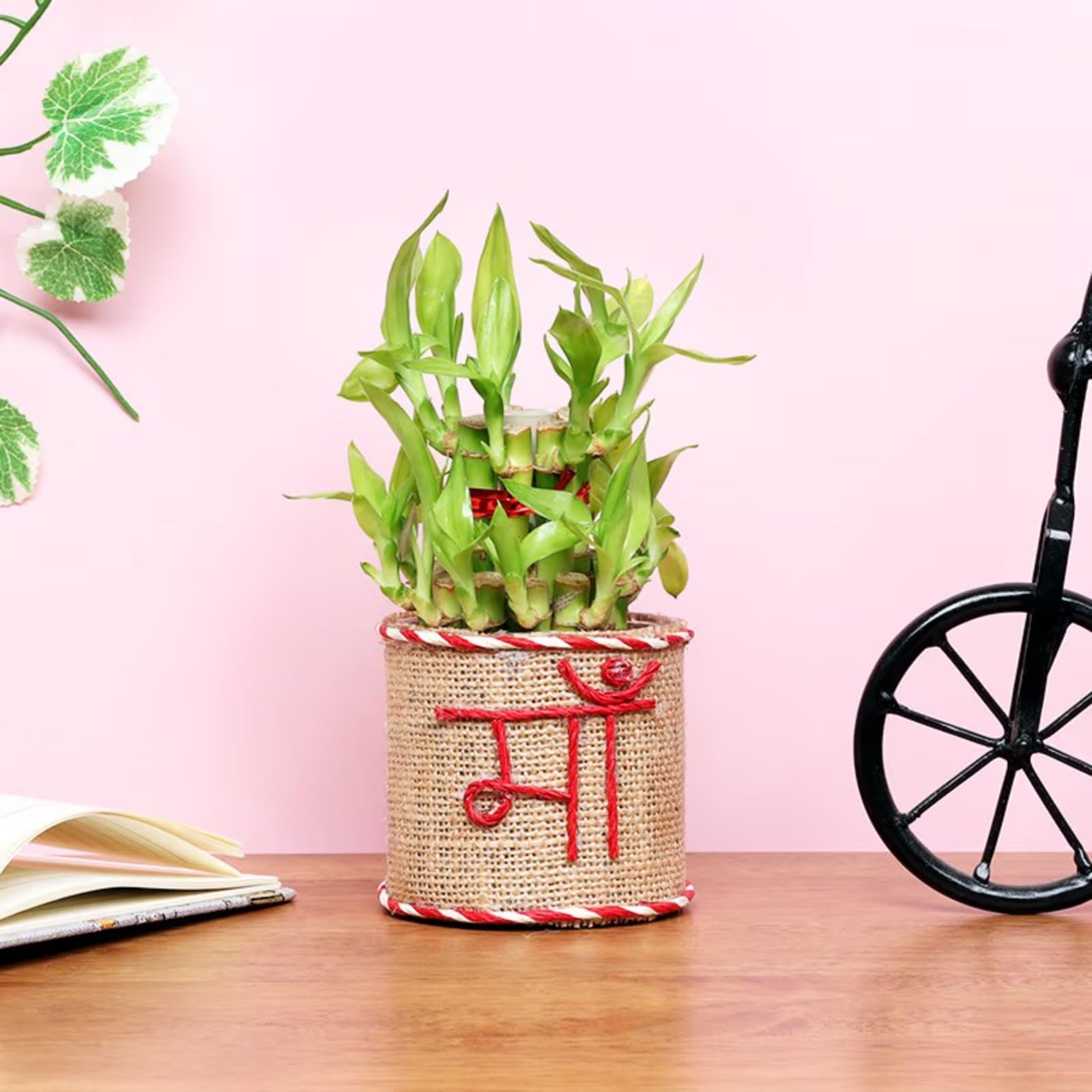 FlowerAura Decorative Two Layer Good Lucky Green Bamboo Live Indoor Plant With Jute Wrapped "MAA" Printed Glass Pot Vase Gifts For Mothers Day(Same Day Delivery) (B0C3HWKJYP) Amazon Price History, Amazon Price Tracker
