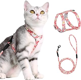 PETTOM Blumenmuster katzengeschirr mit Leine katzenleine mit Geschirr für Katzen mit Rundes Schlüsselband Ausbruchsicher Einstellbarer Brustgurt Geeignet für kleine und mittlere Katzen product image