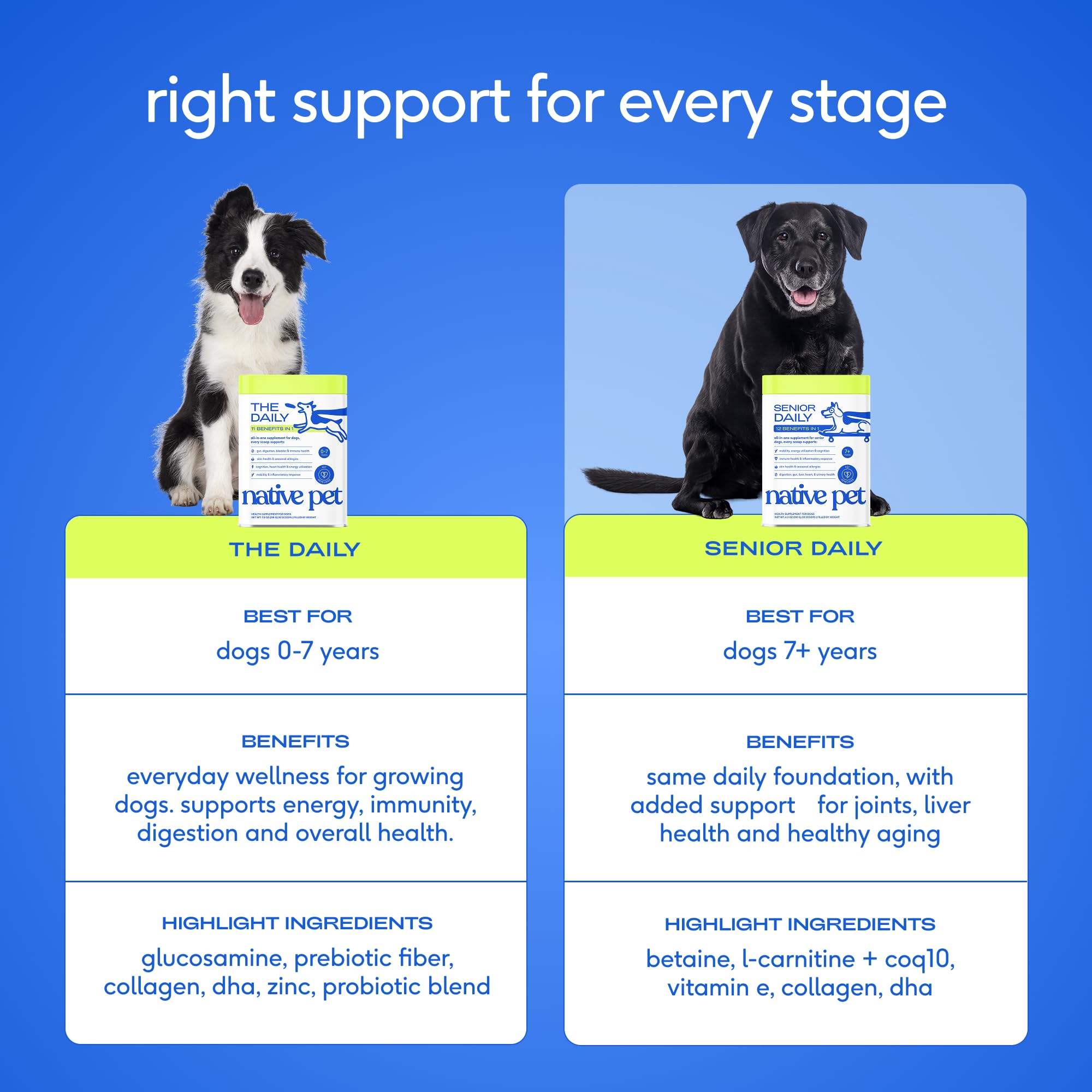 l carnitine for dogs benefits Native Pet Senior Daily Dog Vitamins & Supplements – 12-in-1 Dog Multivitamin Powder Senior – Supports Mobility, Cognition, Digestion, Immune Health & More – 60 Scoops | Grocery Pickup & Delivery Size:2.2 Lbs Maxiliv Glutathione Tablet, For LIVER DETOXIFICATION