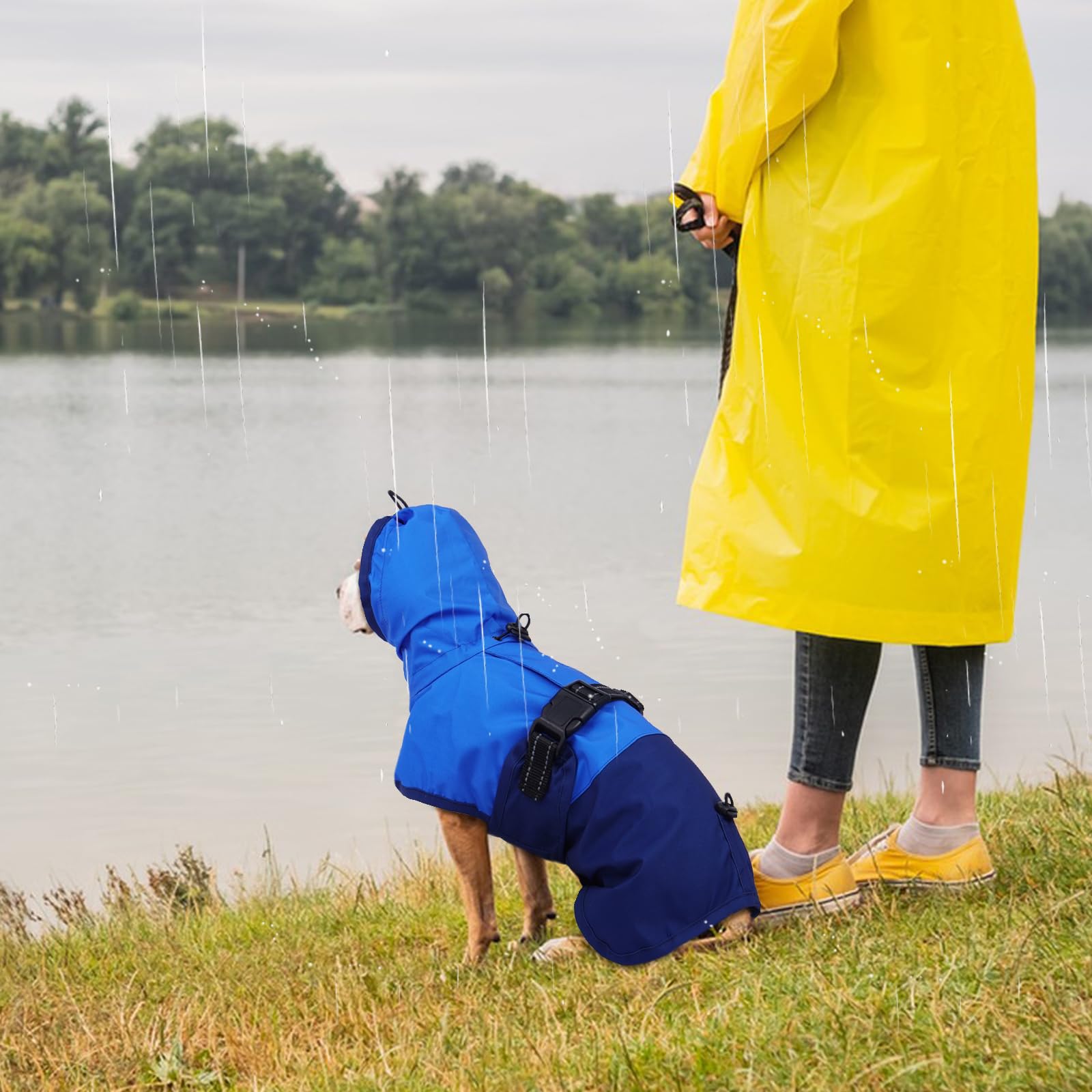 Chubasquero Perro Grande, Chaqueta Impermeable para Perros Grande Impermeable Perro Grande Cubierta Completapara Ajustable Sudaderas a Prueba de Viento Perros(Azul, XL)