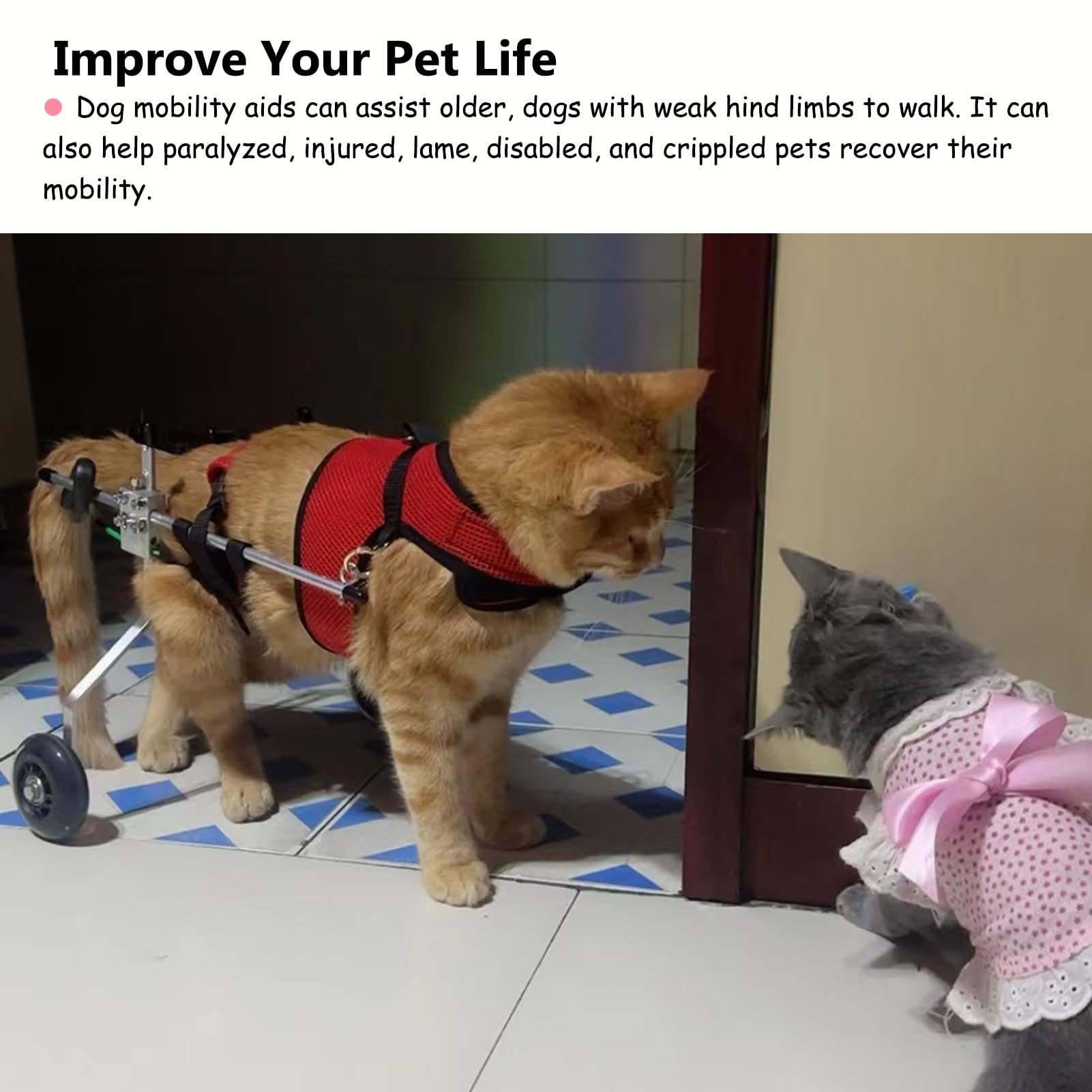 Hunderollstuhl Rollstuhl für Gehbehinderte Hunde mit Hinterbeinen, Verbesserter Mops-Rollstuhl für Besonders Kleine Haustiere, Mobilitätshilfe für Kätzchen mit Beinstütze(Size L)