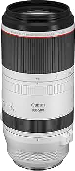 Amazon.com : Canon RF 100-500mm f/4.5-7.1L is USM Super-Telephoto