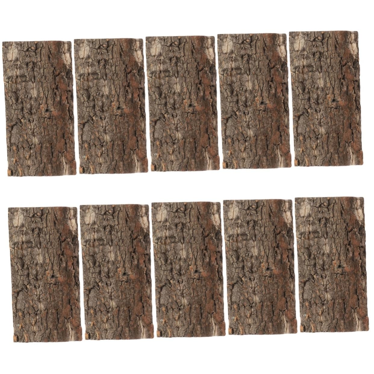 BESPORTBLE 10piezas Reptile Bark Backdrop para y Terrarios Natural De para Decoración De Peceras y Reptiles y
