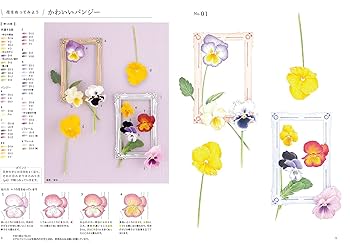 掛け軸 森光子 書 「花さきぬ 花ちりぬ 花みのる」 紙本 希少 掛軸 美品 掛け軸 森光子 書 「花さきぬ 花ちりぬ 花みのる」 紙本 希少 掛軸