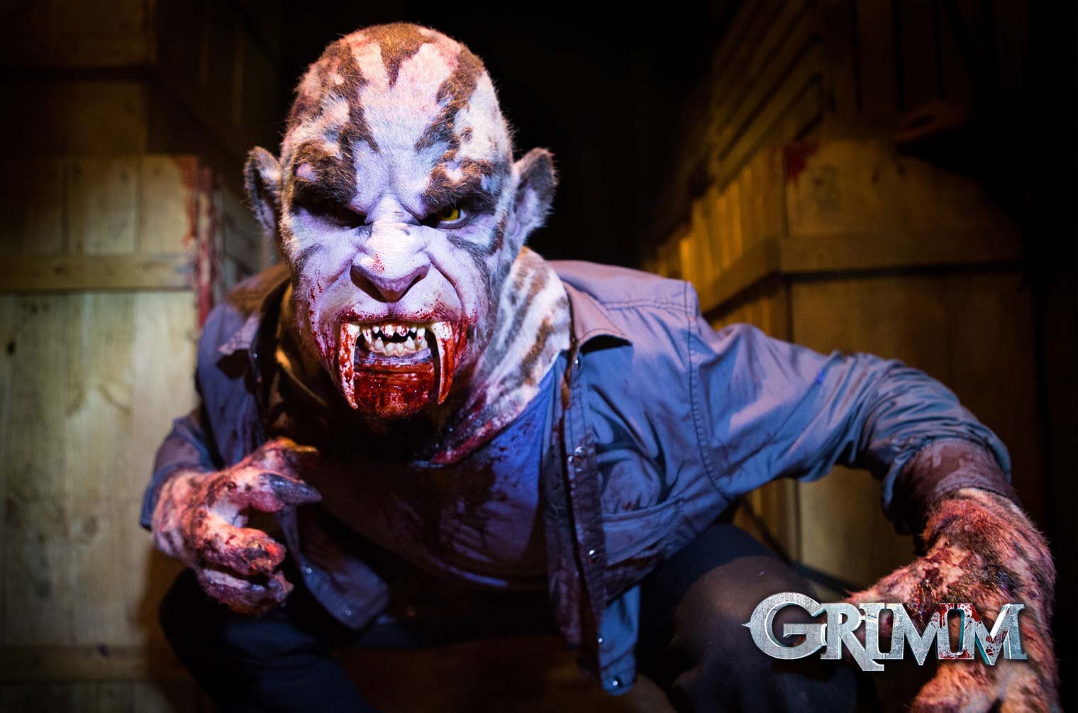 Grimm - Die komplette Serie (Staffel 1-6)