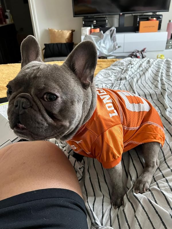 TropiClean Oxymed Medicated Cat & Dog Shampoo and Conditioner Set for Itchy Skin, Skin Soothing Oatmeal Shampoo & Conditioner for Dogs & Cats | Set of 2 : Pet Supplies Review Image