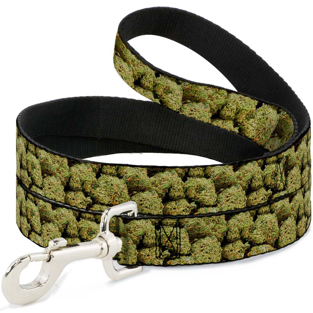 Laisse de 3,8 cm Buckle Down Vivid Marijuana Nugs2 pour vos sorties au parc