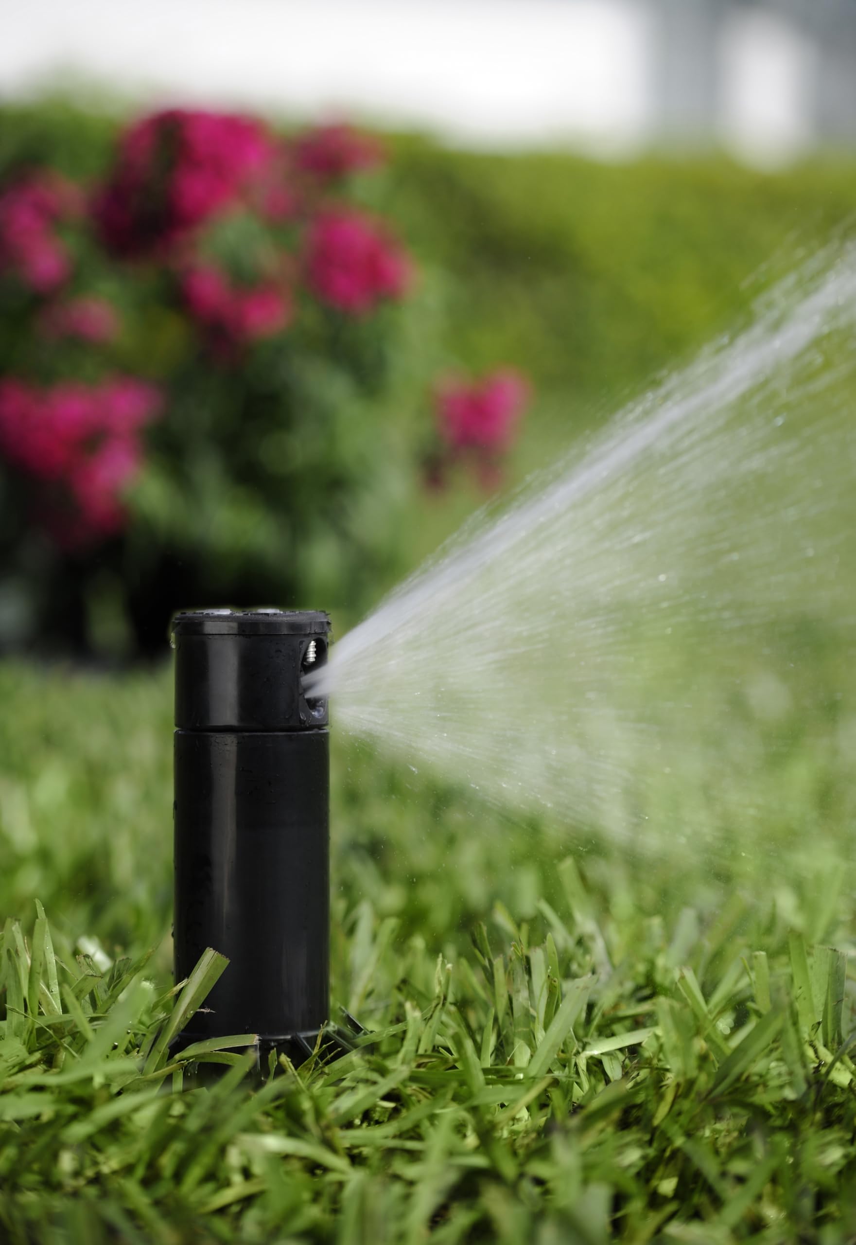 K-Rain RPS Select Sprinkler – 1,9 Cm Getriebeantrieb, 4 Integrierte Düsen, Verstellbar Von 40° Bis 360°, Für 6,5–12,7 M Reichweite