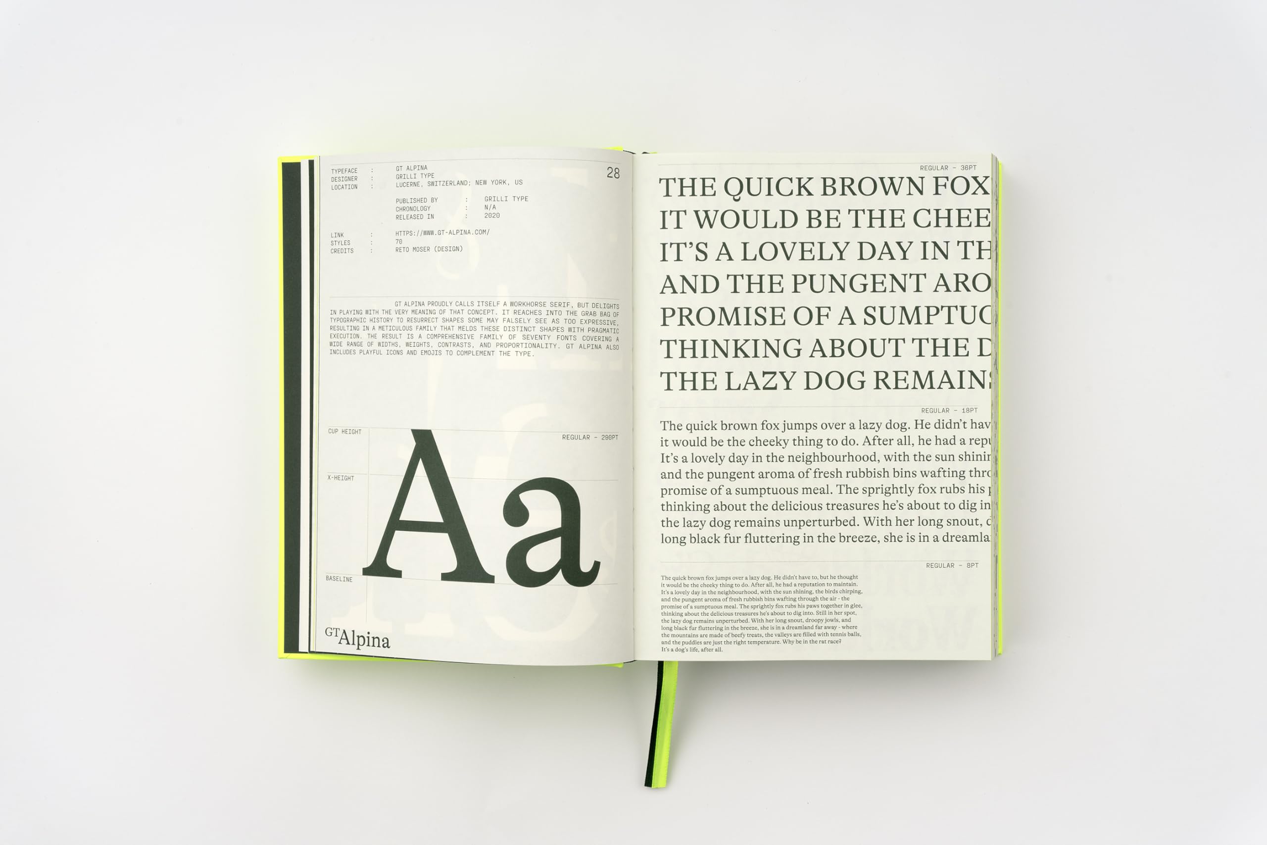 Serif in Use: Creative Typefaces and Their Applications