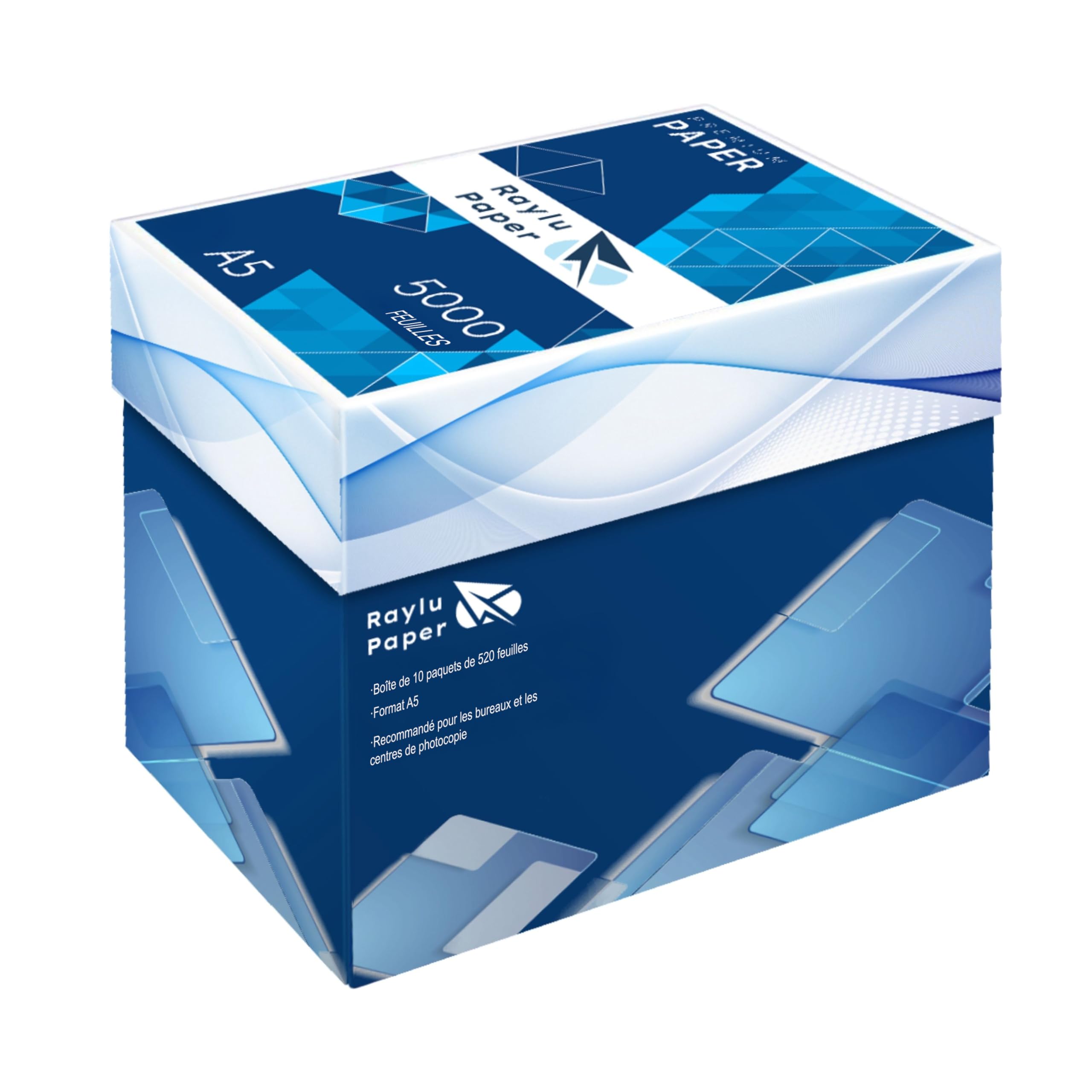 Raylu Paper - Papier A5 Multiusage 5000 Feuilles 80g pour Imprimantes Laser, Jet d'Encre et Photocopieurs, pour Bureau et Maison (A5, 5000 feuilles)