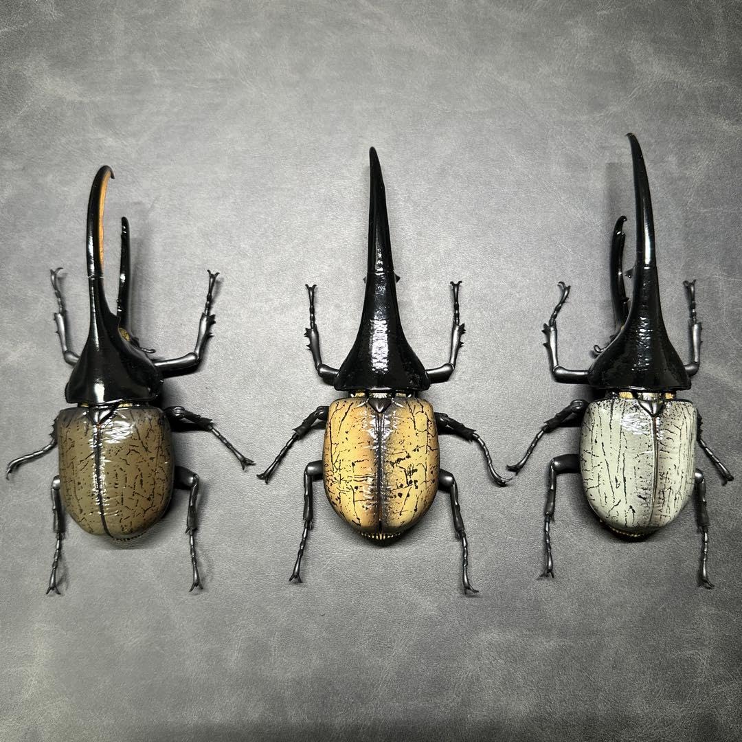 Amazon.co.jp: 訳あり いきもの大図鑑 アドバンス ヘラクレス