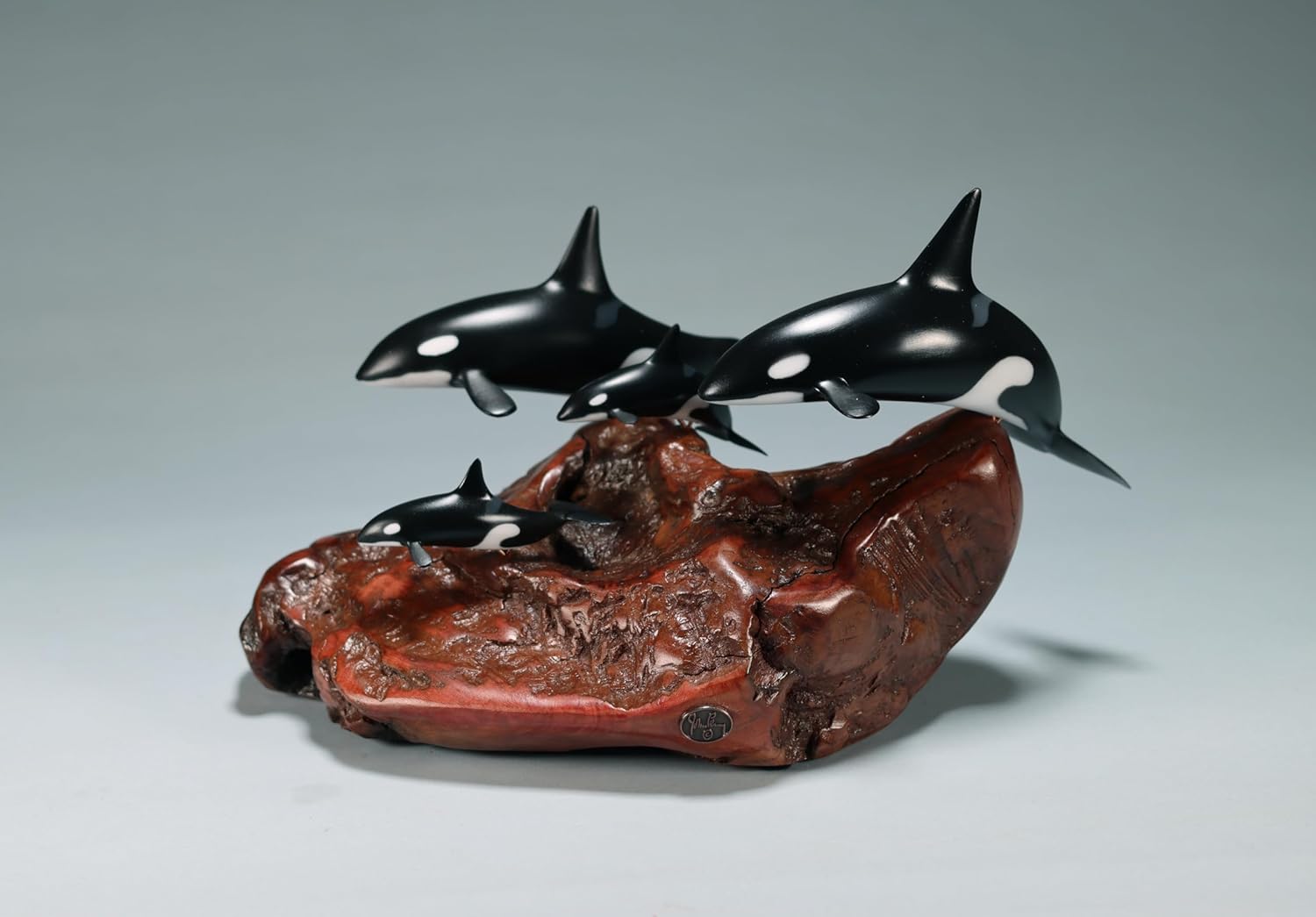 Orca Killer Whale Sculpture Super Family (2 Adults, 2 Calves) by John Perry on Polished Burl Wood. Signed.