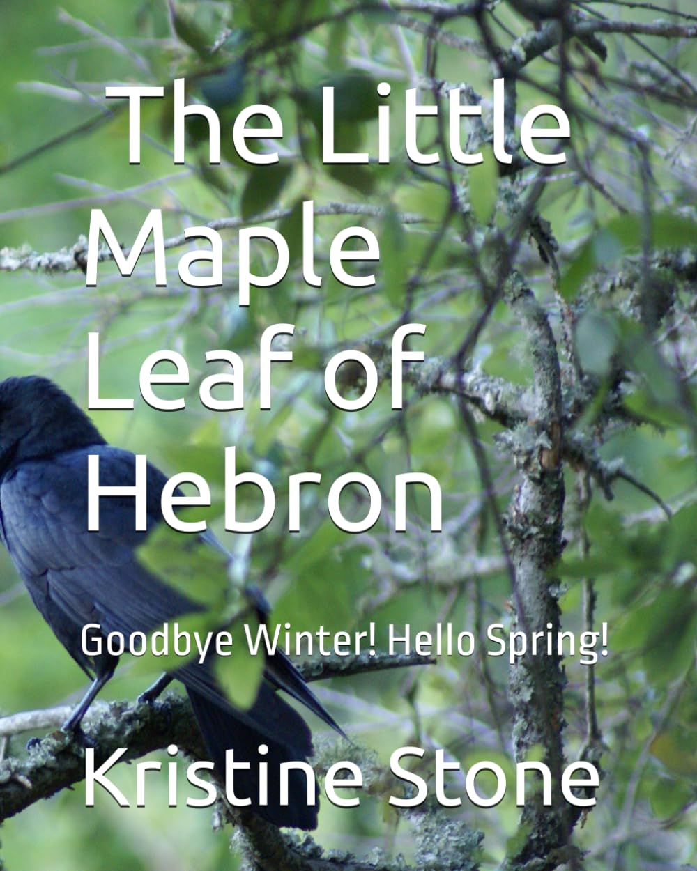 Little Maple Leaf of Hebron
