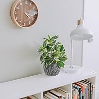 Vista 6 de Plantas artificiales para interiores y exteriores, planta de hoja de roble abigarrada sintética, plantas falsas en maceta, decoración artificial