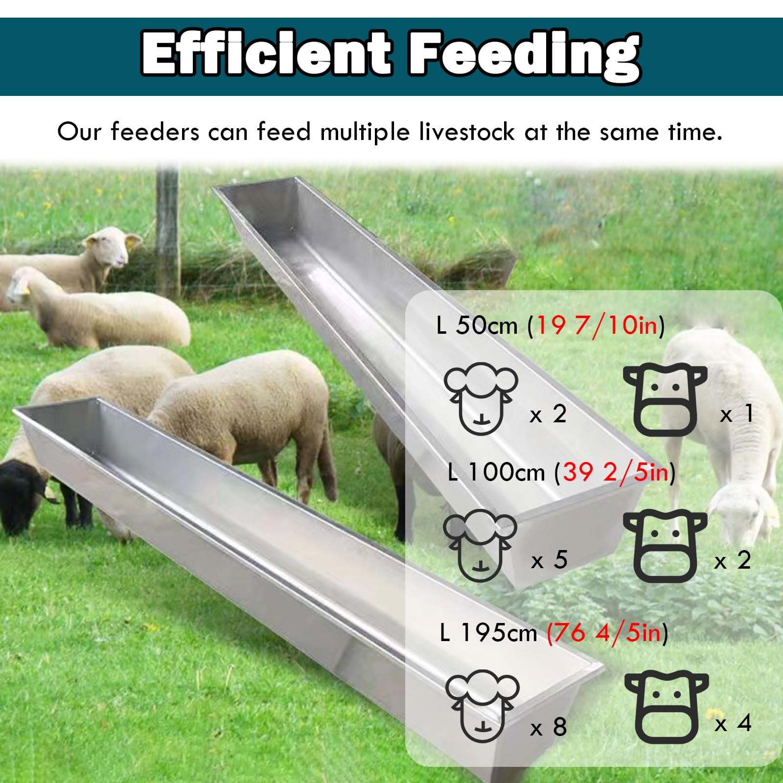 Futterspender und Wassertrog aus Edelstahl – langlebige Futter- und Bewässerungslösung für Pferde, Kälber, Rinder und Schweine