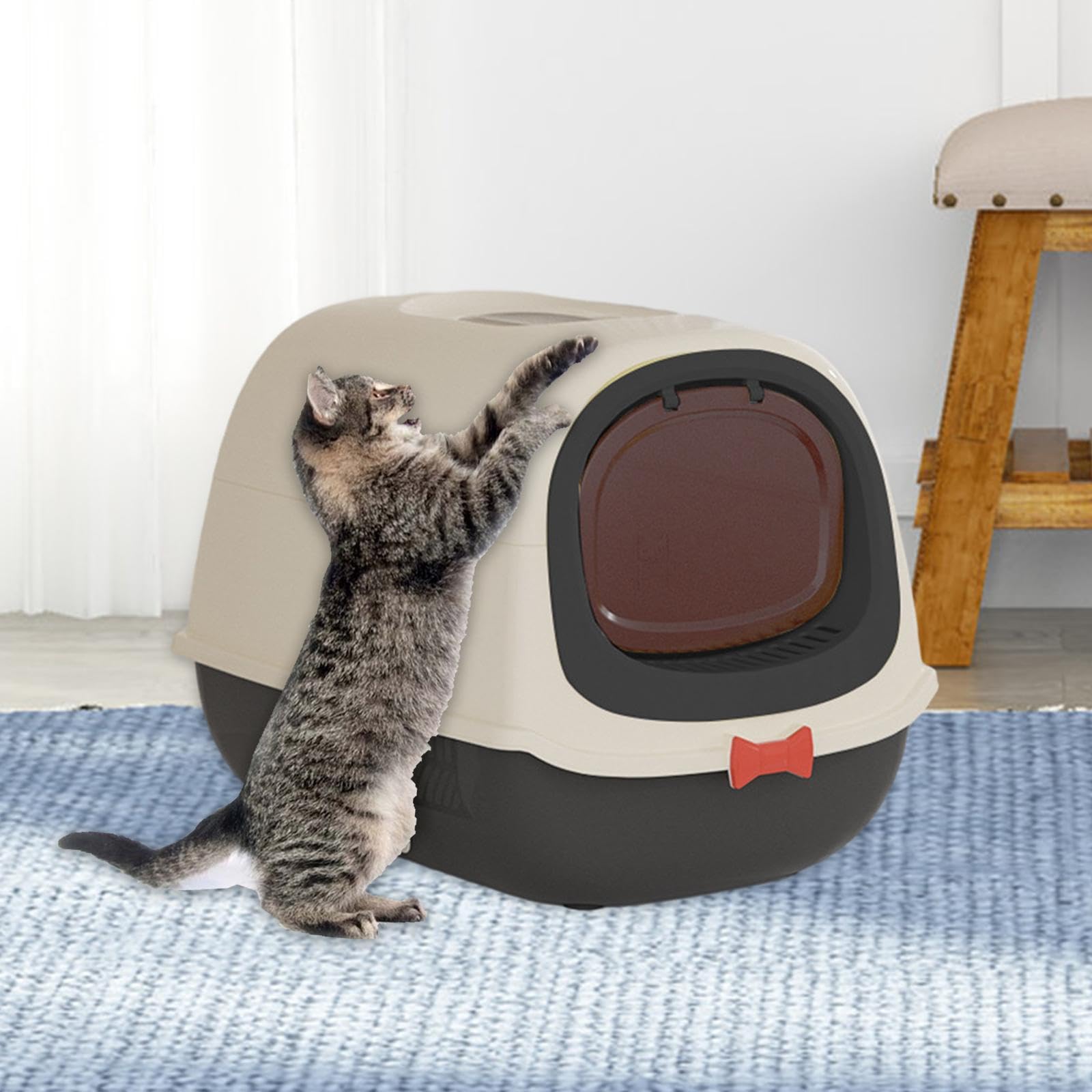 Arenero para Gatos Totalmente Cerrado con Bandeja Y Tapa Extraíbles, Entrada Zona Apto para Gatos Domésticos, Negro