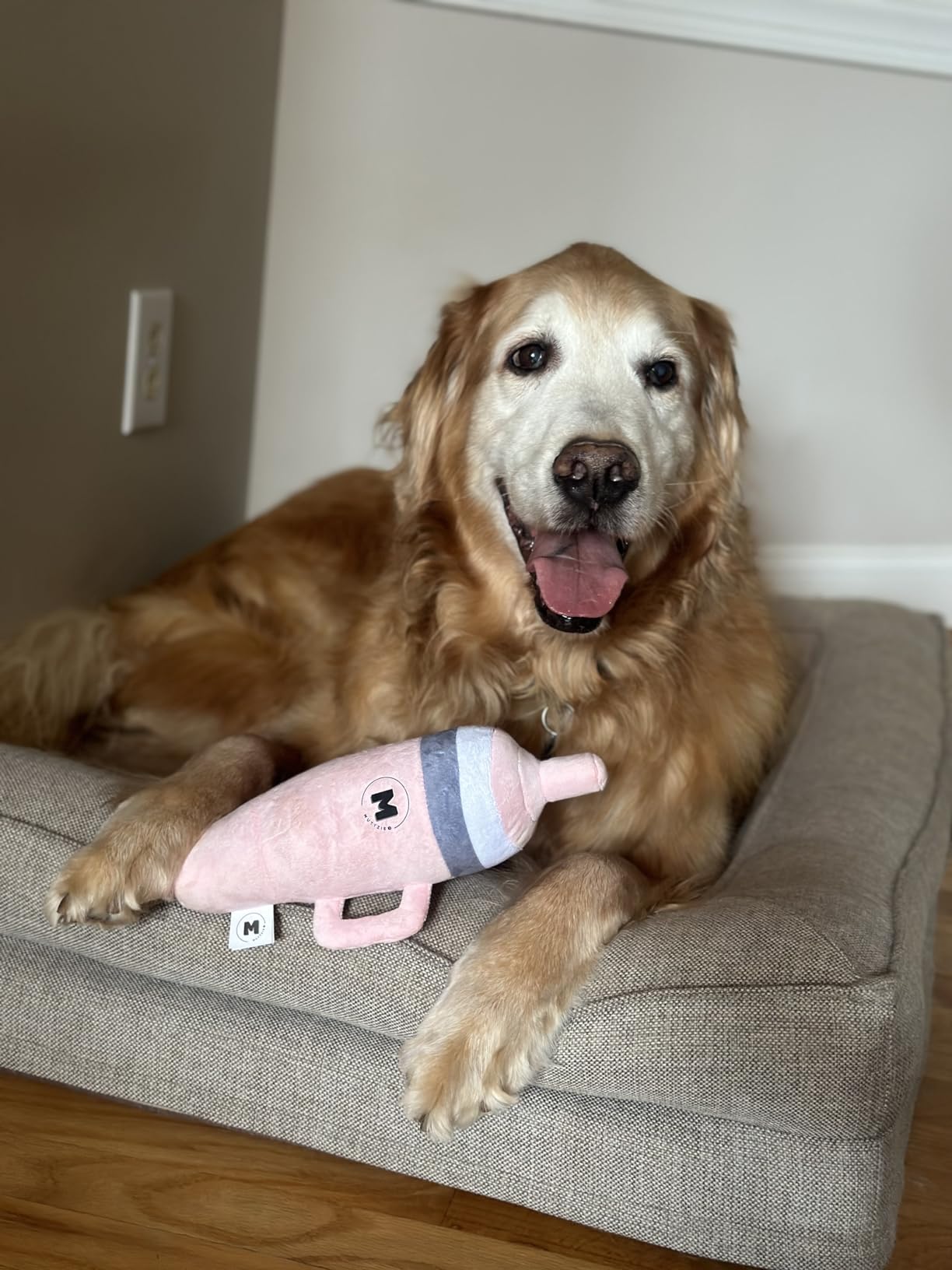 Pet Supplies Muttzie Stanley Cup Water Bottle Dog Toy Cute Durable