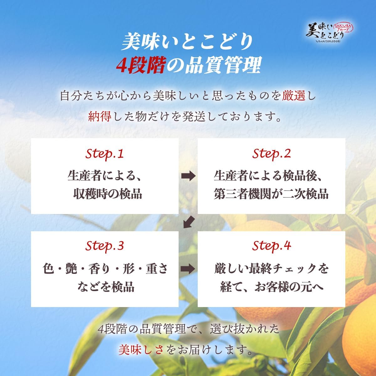みかん 訳ありみかん 和歌山県産 青秀みかん 完熟 甘い 選別済 小粒S～SS ※お歳暮 のし対応可能 (3kg) 【薬石】