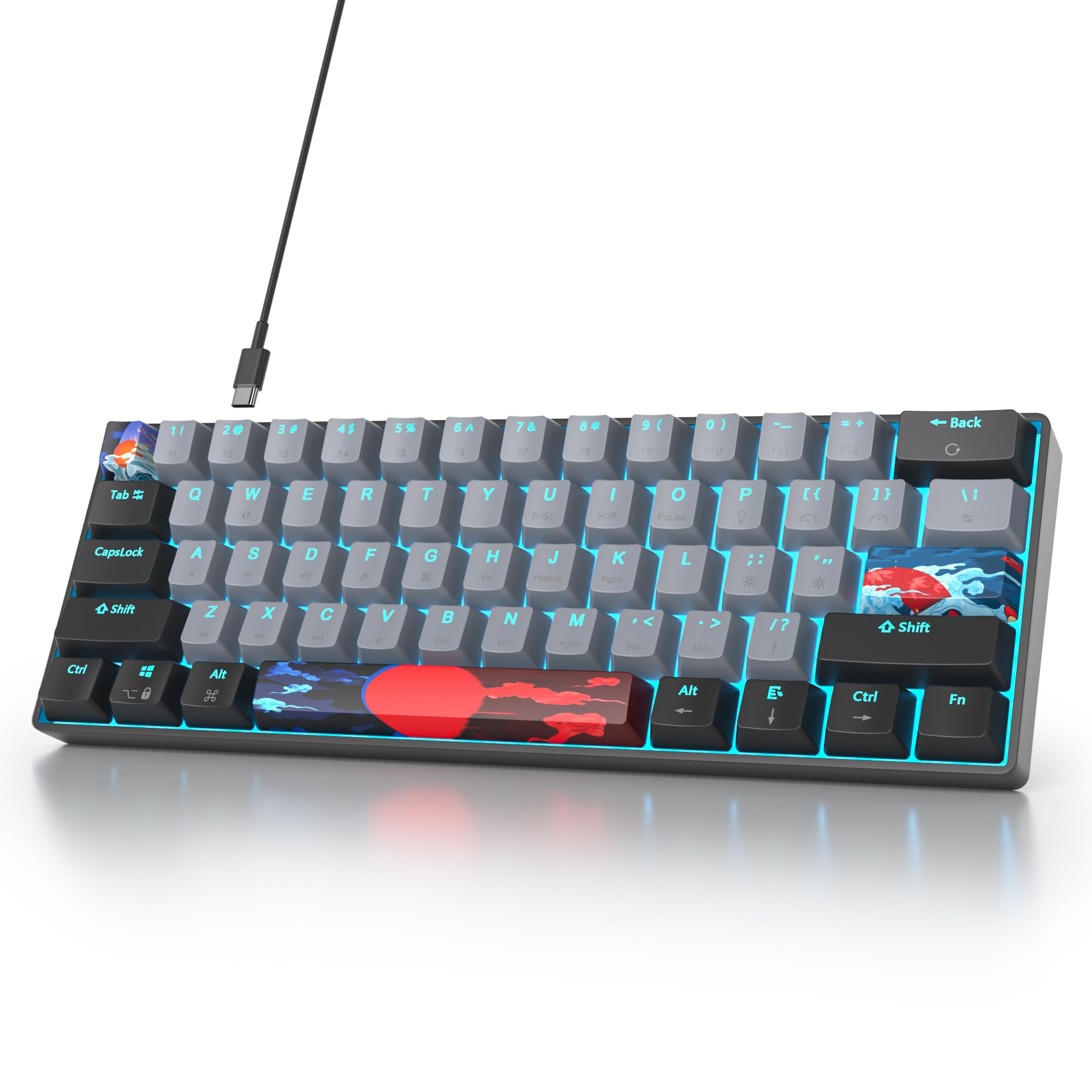 SOLIDEE clavier mécanique de jeu 60%,61 touches avec commutateur rouges linéaires,Lumière bleu glacier,clavier mécanique filaire avec rétroéclairage LED,clavier compact pour PS5/PS4(61 Black Grey)