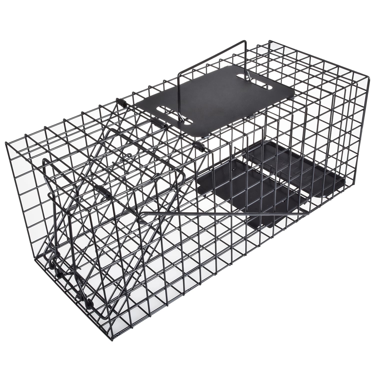 Anyhall Live Squirrel Trap Humane Weasel Rabbit Cage Trap
