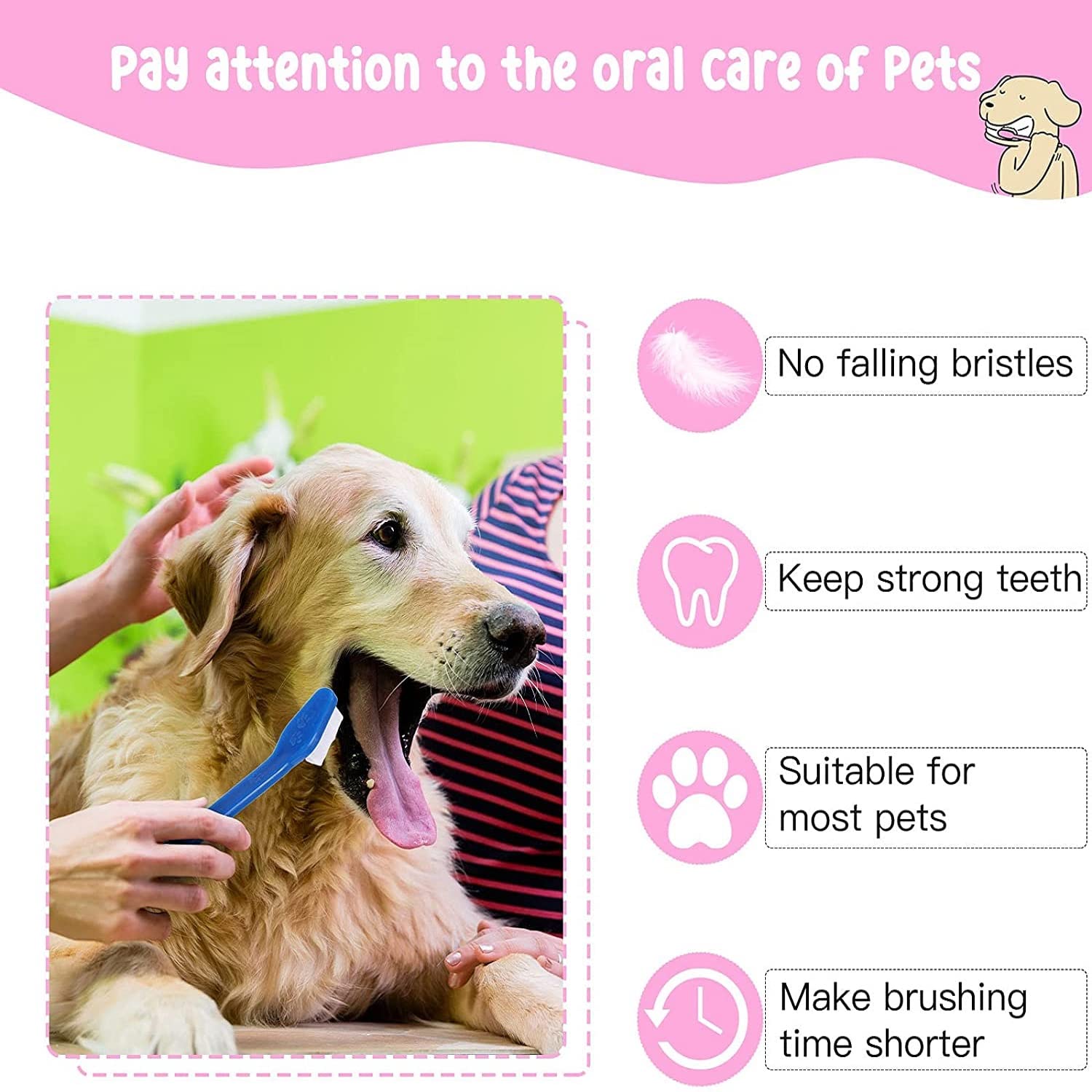 emily pets All Age Groups Dog Manual Toothbrush, L Size Finger Toothbrush and Long Handle Double-Headed Toothbrush for Small to Large Dogs and Cats 12Pcs Pet Toothbrush(Color May Vary) 2