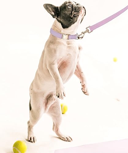 Miniatura 6 de Collar de algodón suave para perro con hebilla de metal, ajustable, resistente, cómodo, collares de pana para perros pequeños, medianos y grandes,