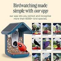 Vista 13 de Birdbuddy PRO - Comedero solar inteligente para pájaros con cámara, identificación de especies de aves AI, fotos de 5 MP, cámara de transmisión