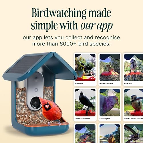Miniatura 4 de Birdbuddy PRO - Comedero solar inteligente para pájaros con cámara, identificación de especies de aves AI, fotos de 5 MP, cámara de transmisión en