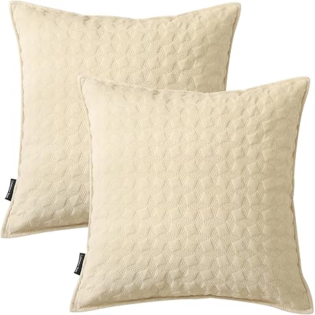 Neutral Decorative Pillow Covers: Velvet Throw Pillows for Timeless Style