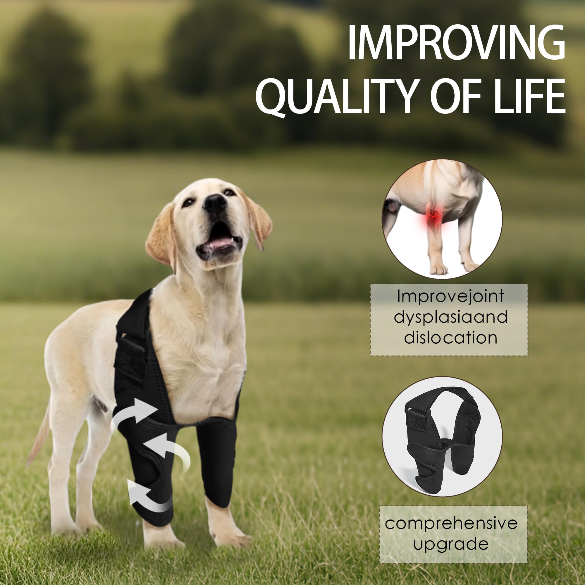 Tutore regolabile per gomito del cane con supporto per spalla, tutore per gamba anteriore del cane, per legamenti strappati, artrite, riabilitazione post-operatoria, piaghe da decubito