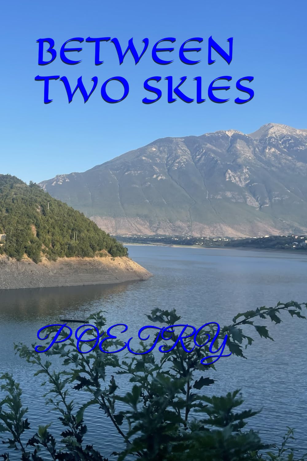 BETWEEN TWO SKIES: POETRY