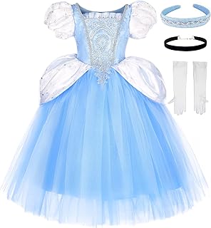 Axaxa Cinderella Costume for Girls Cinderella Dress Princess Dresses for Girls Halloween Party Cosplay with Accessories