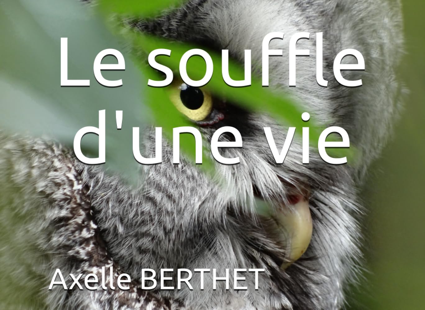 Le souffle d'une vie