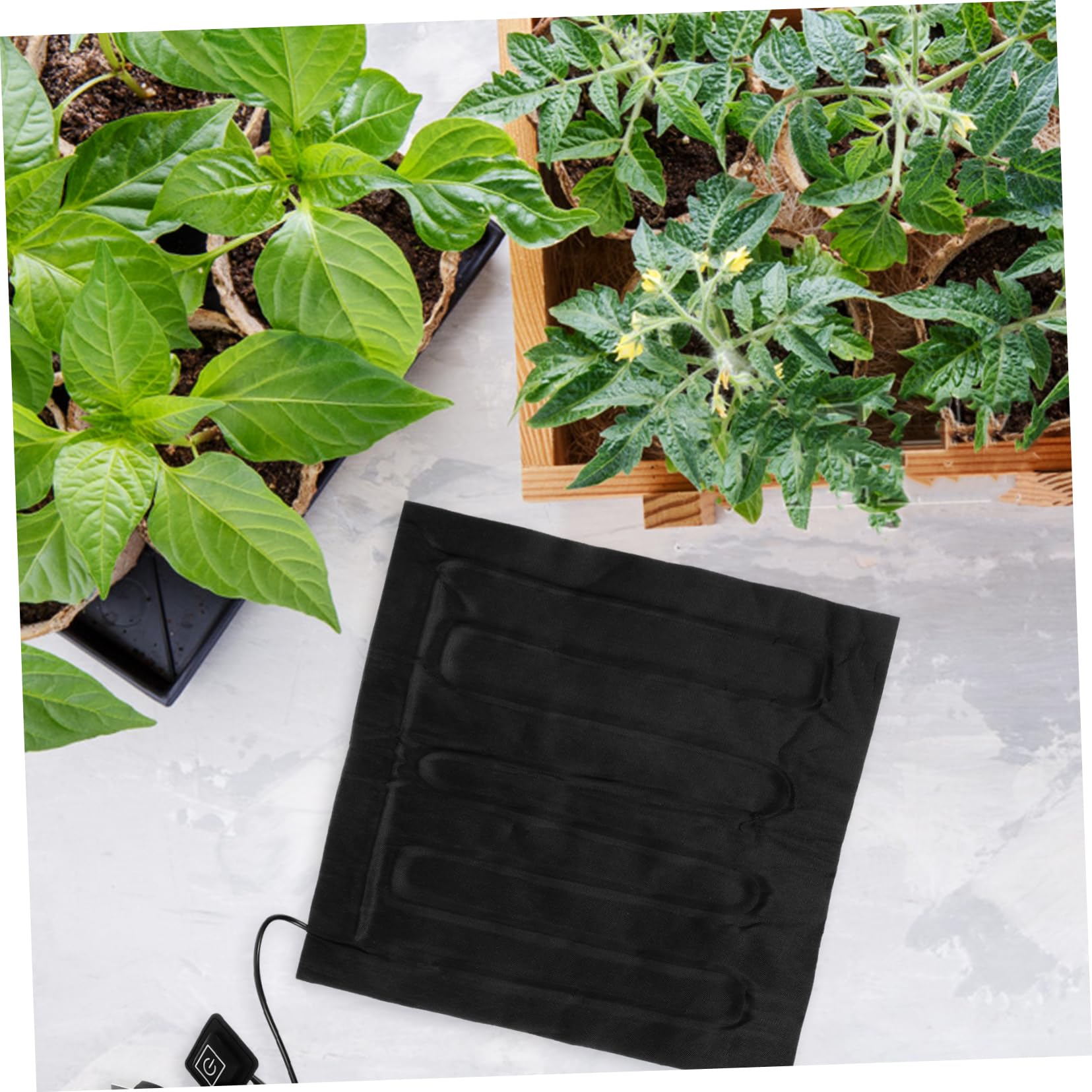 Sosoport 3pièces Tapis Chauffant pour Germination De Plantes avec Thermostat Numérique Matériel De Culture pour Et Démarrage Intérieur Adapté Aux Conditions Froides