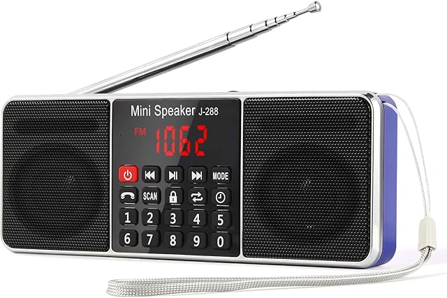 PRUNUS J-288 Portable Radio Small, AM FM Radio Rechargeable with Bluetooth Speaker, Sleep Timer and Power-Saving Display, Battery Operated Radio with AUX jack, USB Disk and TF Card, NO Manual Preset