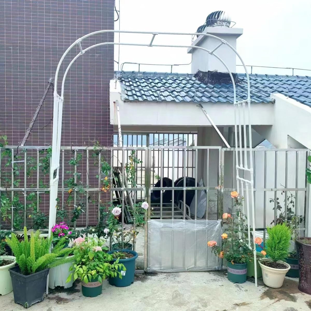 ウィクロス シュブニグラ ヨグソトス ビジュアルアクリルボード 希先生